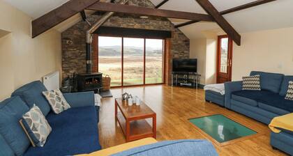 Llwyngwinau Isaf Barn