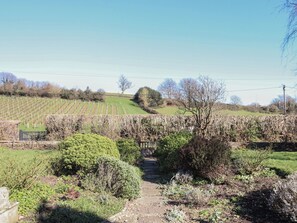 Property grounds - Badger's Den (Budleigh Salterton)