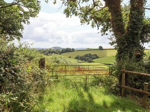 Property grounds - Hole Farm Stables (Newton Abbot)