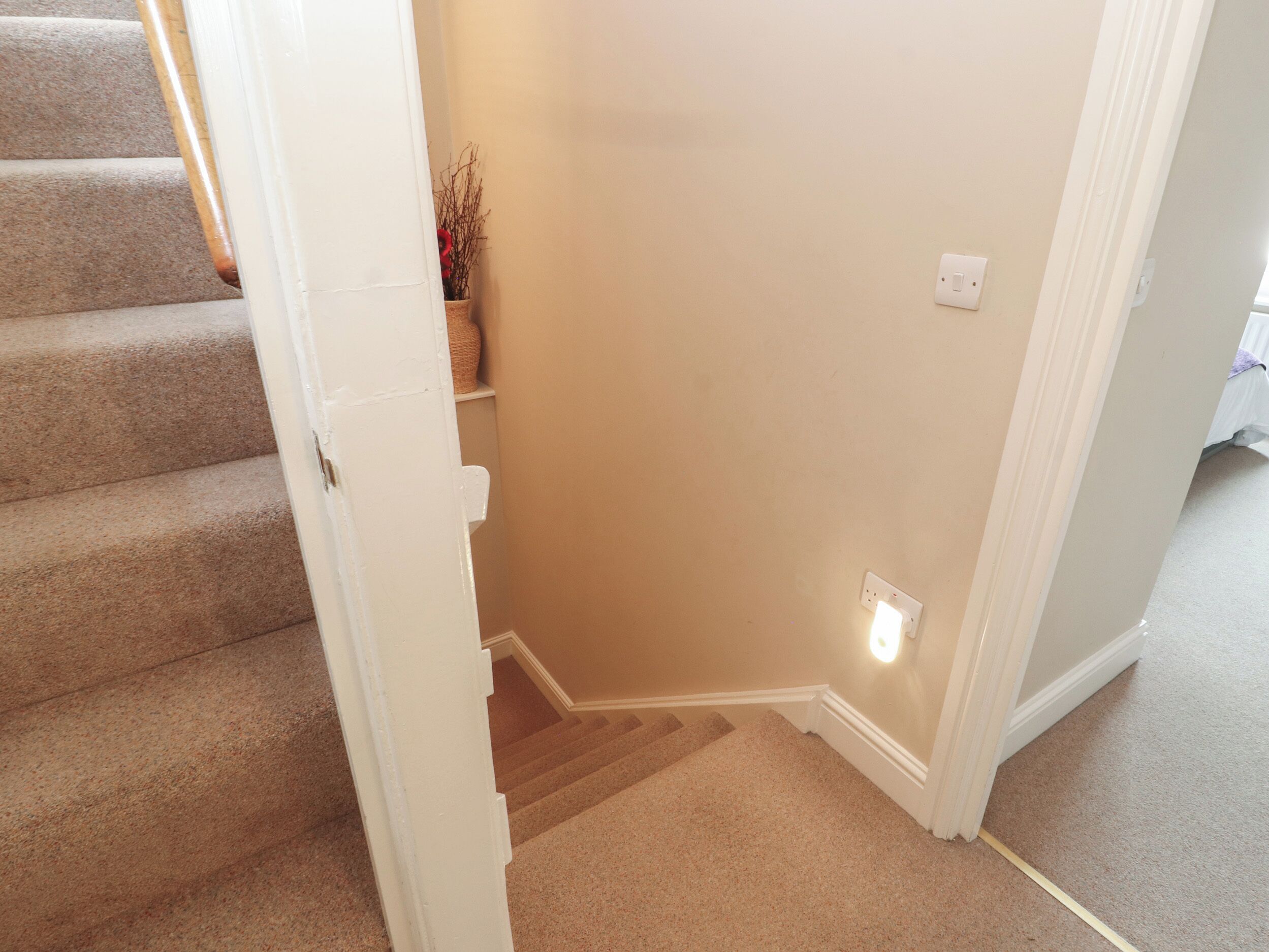 A carpeted staircase leading to a landing with a white door.