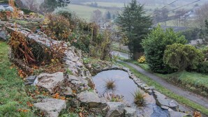 A rural landscape with a stone wall, a small pond, and a path leading through a field. - Quarry House (Montgomery)