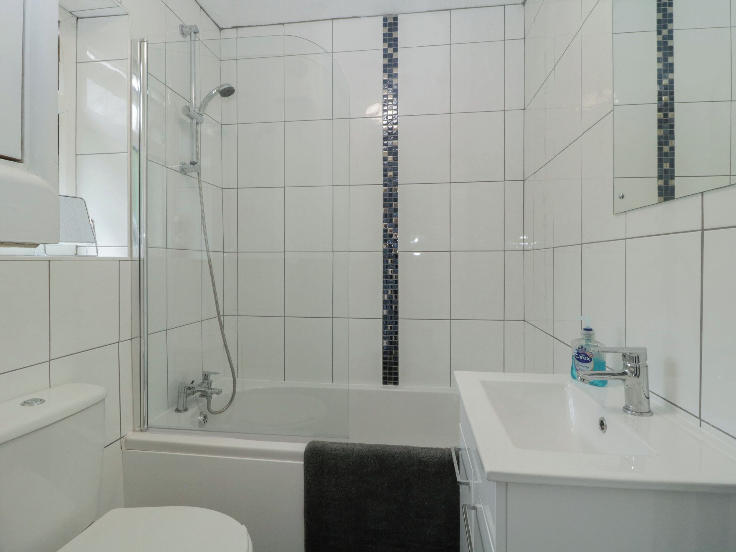 Shower, hair dryer