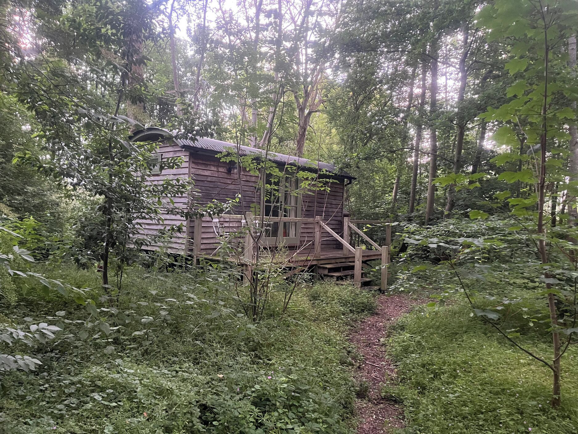 Een rustieke houten hut, omgeven door een dicht bos.