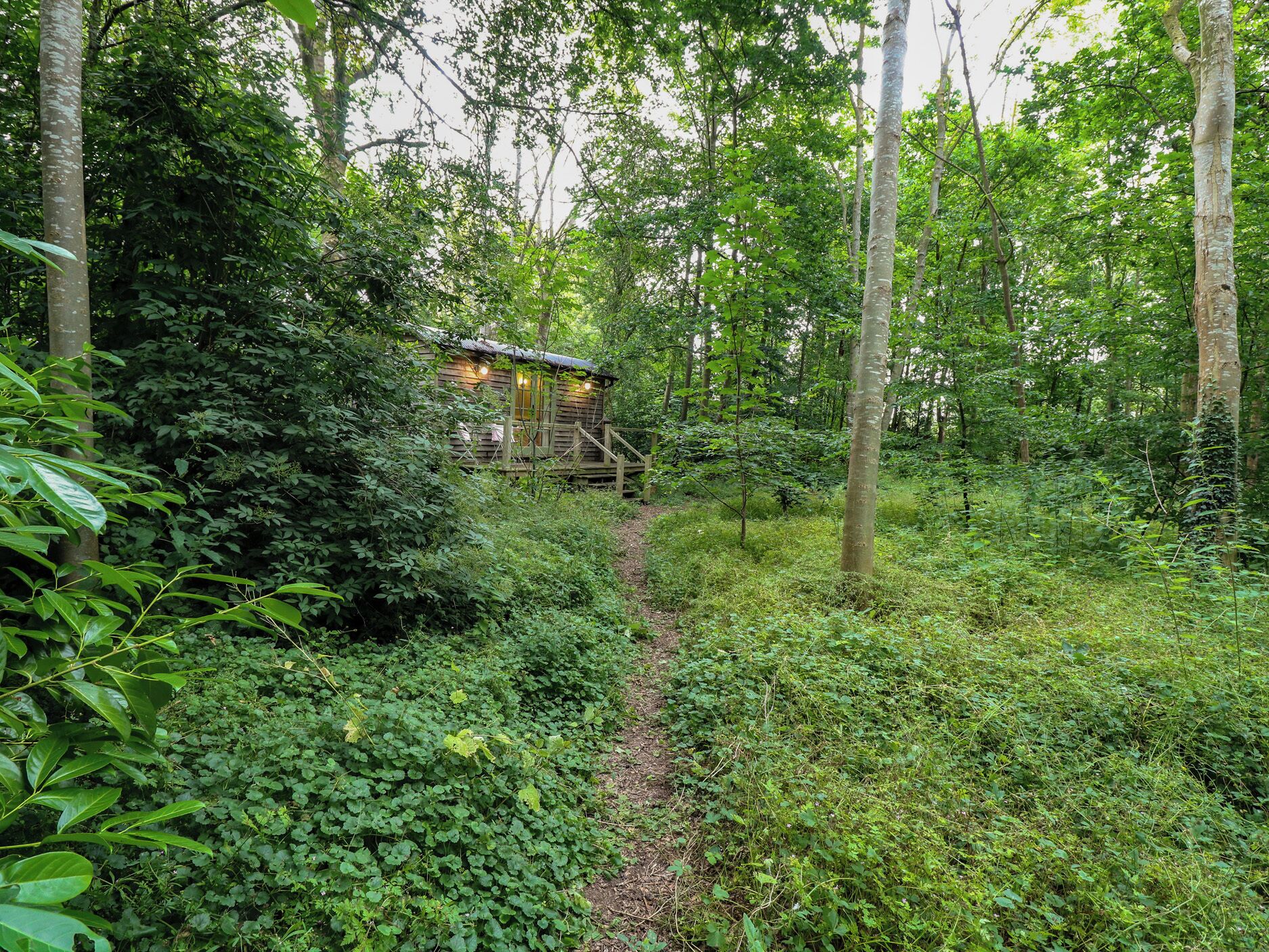 A wooden cabin in a forest with a dirt path leading to it.