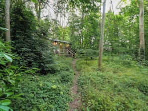Een houten hutje in een bos, met een onverharde weg er naartoe.