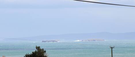 A coastal view with houses and a power line.