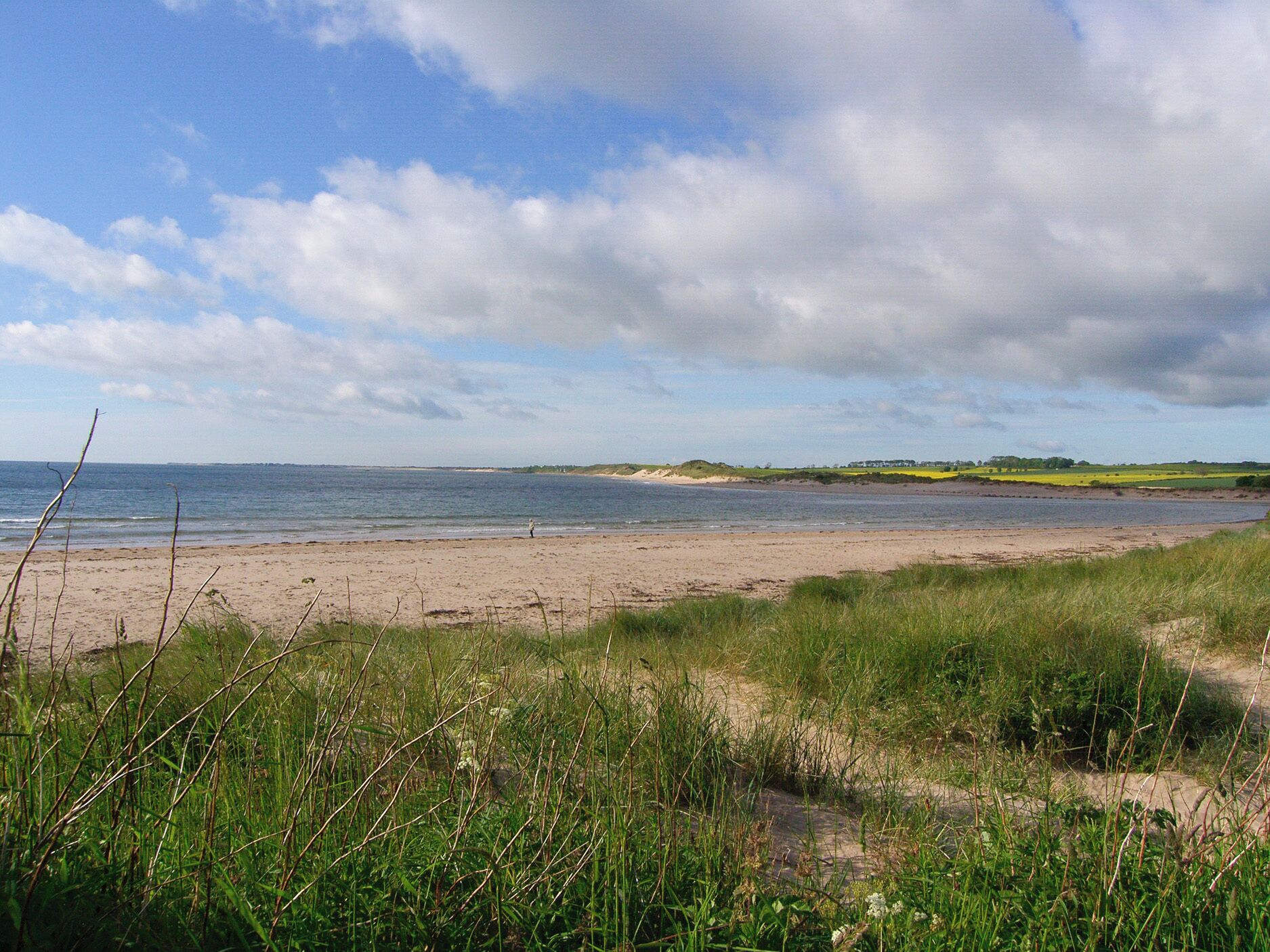 Une plage avec du sable, de l’herbe et une étendue d’eau.