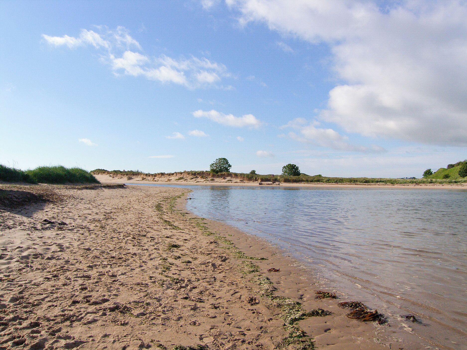 Ein sandiger Strand mit einem ruhigen Fluss, spärlicher Vegetation und wolkenlosem Himmel.