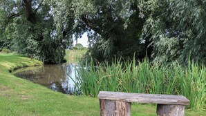 A wooden bench by a pond with grass and trees in the background. - Cowslip (Saltburn-by-the-Sea)