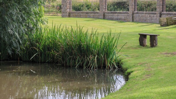 A serene outdoor area with a pond, lush greenery, and a stone wall with a metal fence. - Cowslip (Saltburn-by-the-Sea)