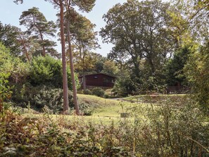 A rustic cabin surrounded by dense forest and a well-maintained lawn. - Cowslip (Saltburn-by-the-Sea)