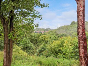 A lush green landscape with a red bridge in the distance. - Cowslip (Saltburn-by-the-Sea)