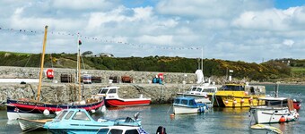 Gwynlys