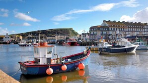 A harbor with boats docked, a building with multiple windows, and a hill in the background. - 30 Fleet Street (Beaminster)