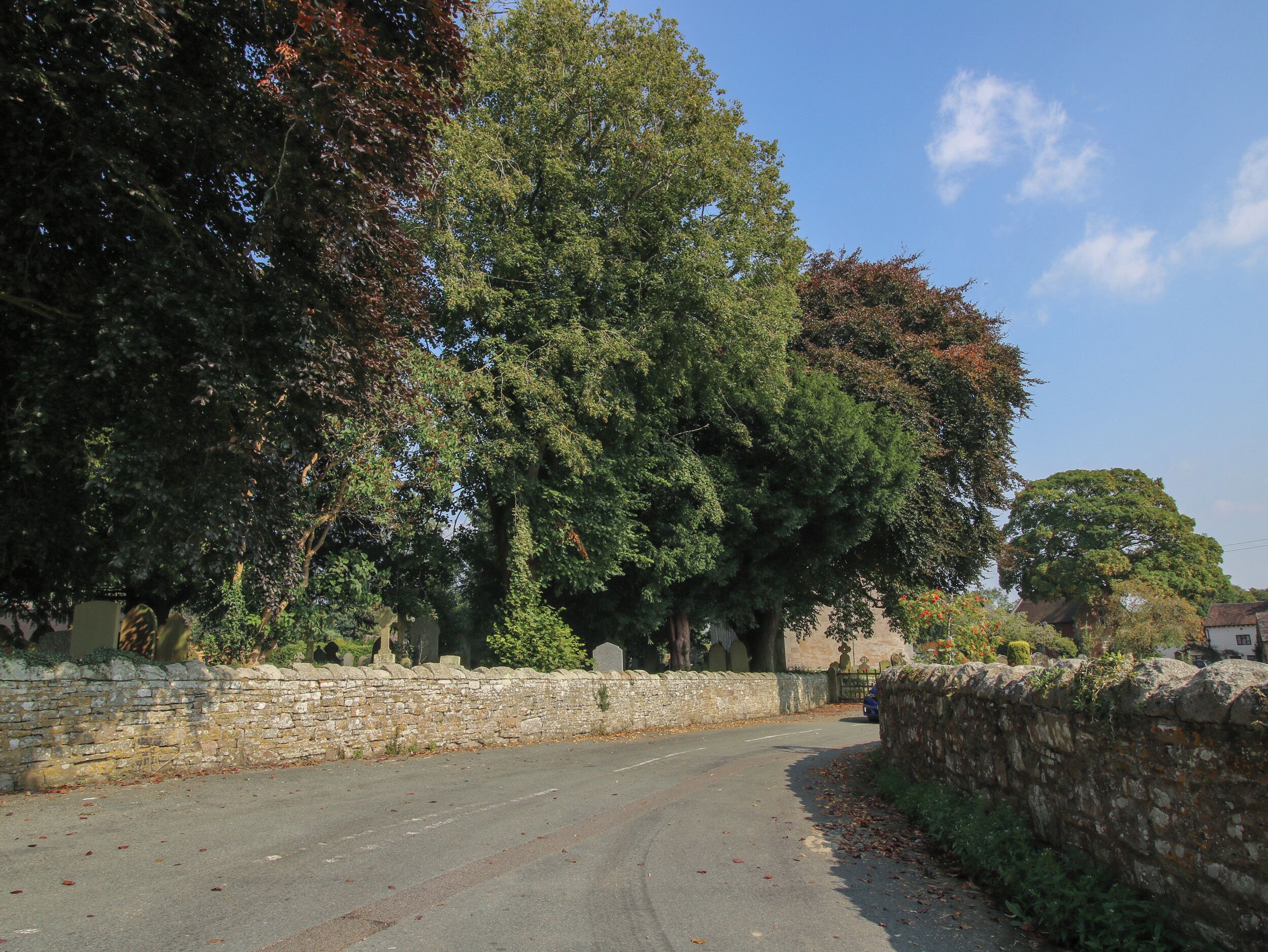 Une route de campagne bordée de murs de pierre et d’arbres.