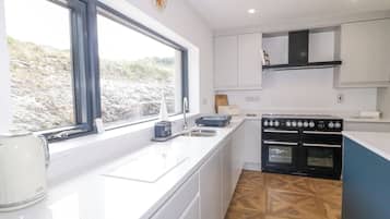 Fridge, dishwasher, electric kettle, toaster