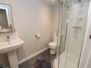 A bathroom with a glass-enclosed shower, a white sink, and a toilet.