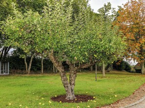 Property grounds - Tygalls Farm (Petersfield)