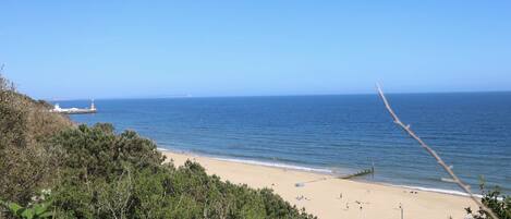 A beach with a lighthouse in the distance, sandy shore, and dense greenery in the foreground.
