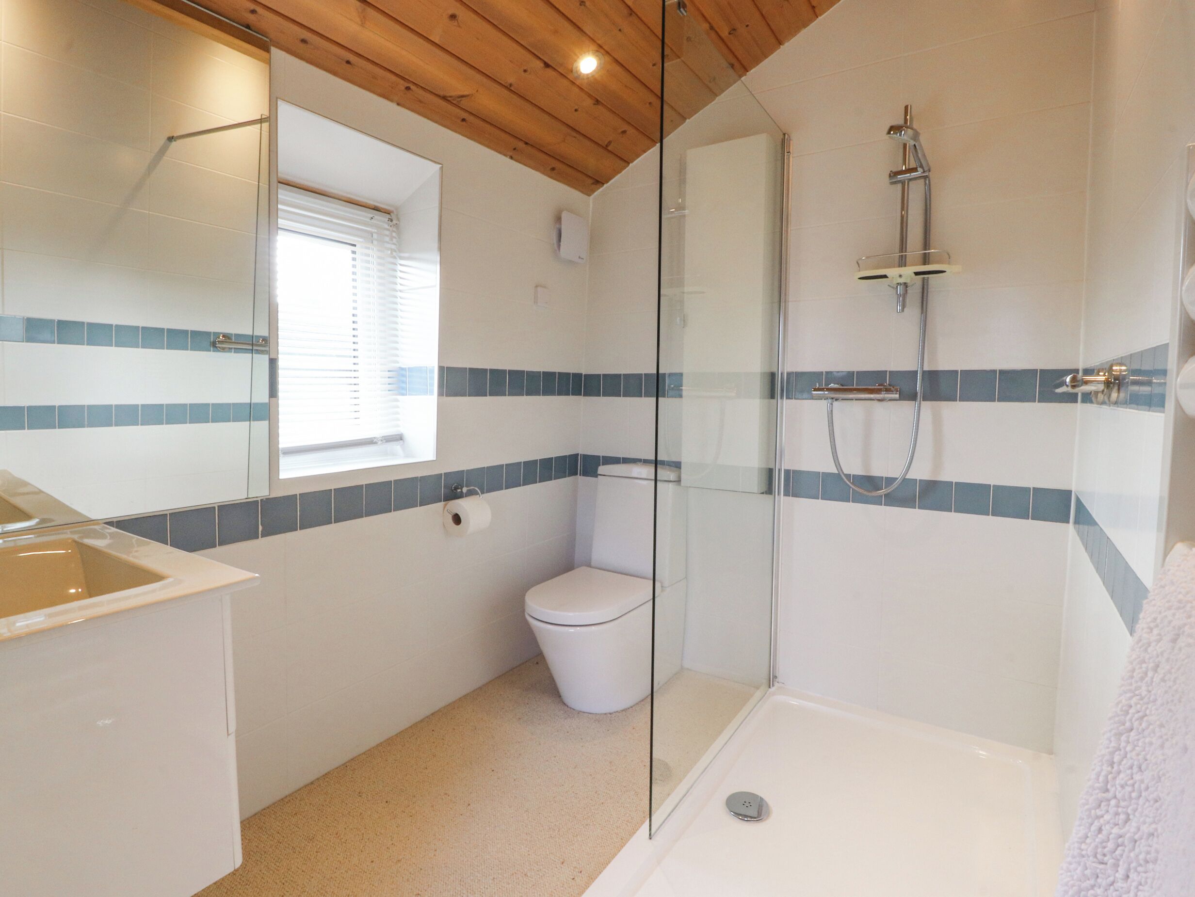 A bathroom with a glass-enclosed shower, a toilet, and a sink.