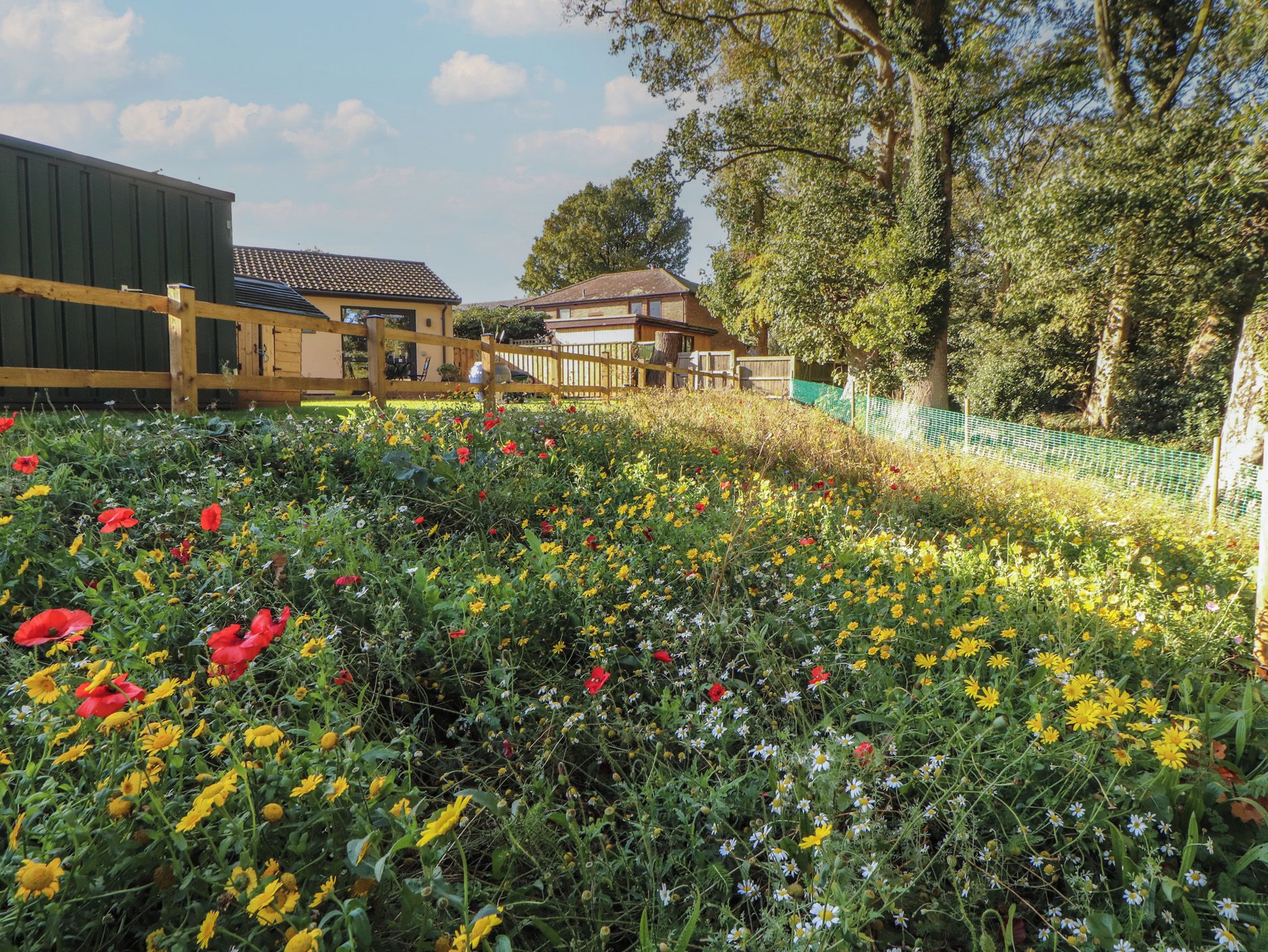 A residential area with a wooden fence, a variety of flowering plants, and houses with different architectural styles.