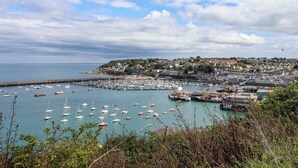 A coastal town with a marina filled with boats, a pier, and houses on a hillside. - The White House (Brixham)