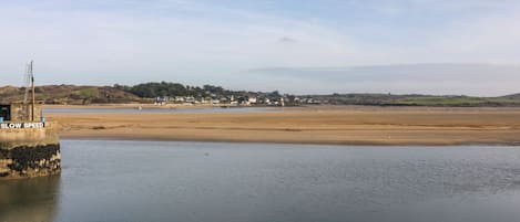 Un paysage côtier avec une plage de sable, une étendue d’eau calme et une ville lointaine, avec des maisons et de la végétation.