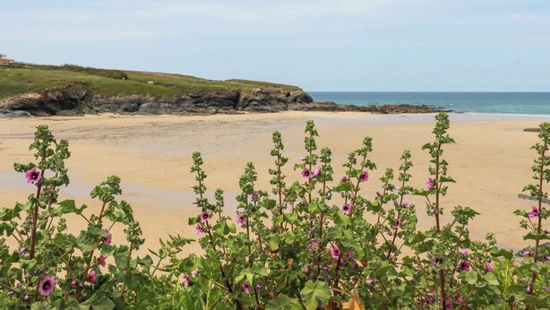 Une plage bordée d’une falaise rocheuse, sous un ciel dégagé.