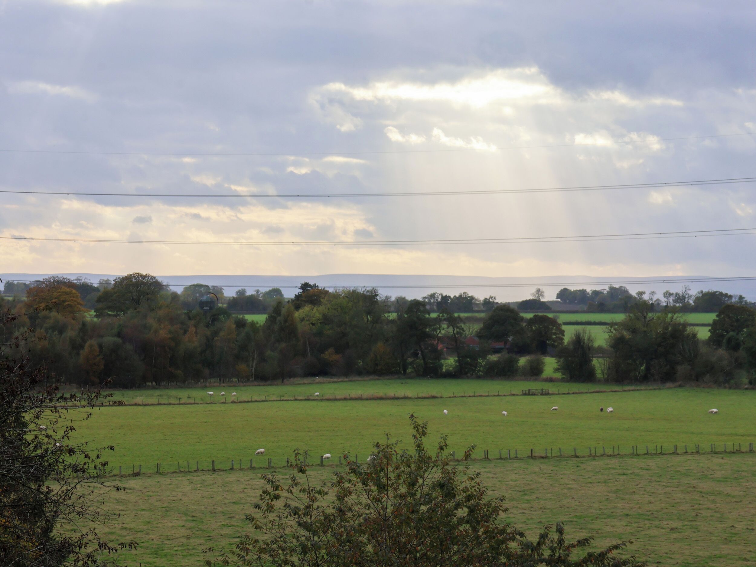 A rural landscape with a green field, trees, and a cloudy sky.