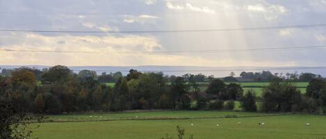 A rural landscape with a green field, trees, and a cloudy sky.