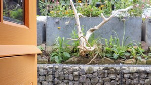 Uitzicht op een tuin met een houten hek, een stenen muur en twee metalen stoelen.