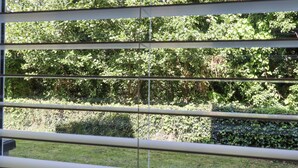 Une vue à travers une fenêtre munie de stores horizontaux, dévoilant un jardin luxuriant et verdoyant, avec différents arbustes et une pelouse.