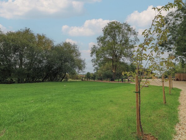 A grassy outdoor area with trees and a wooden fence. - Badger's Burrow (Oakham)