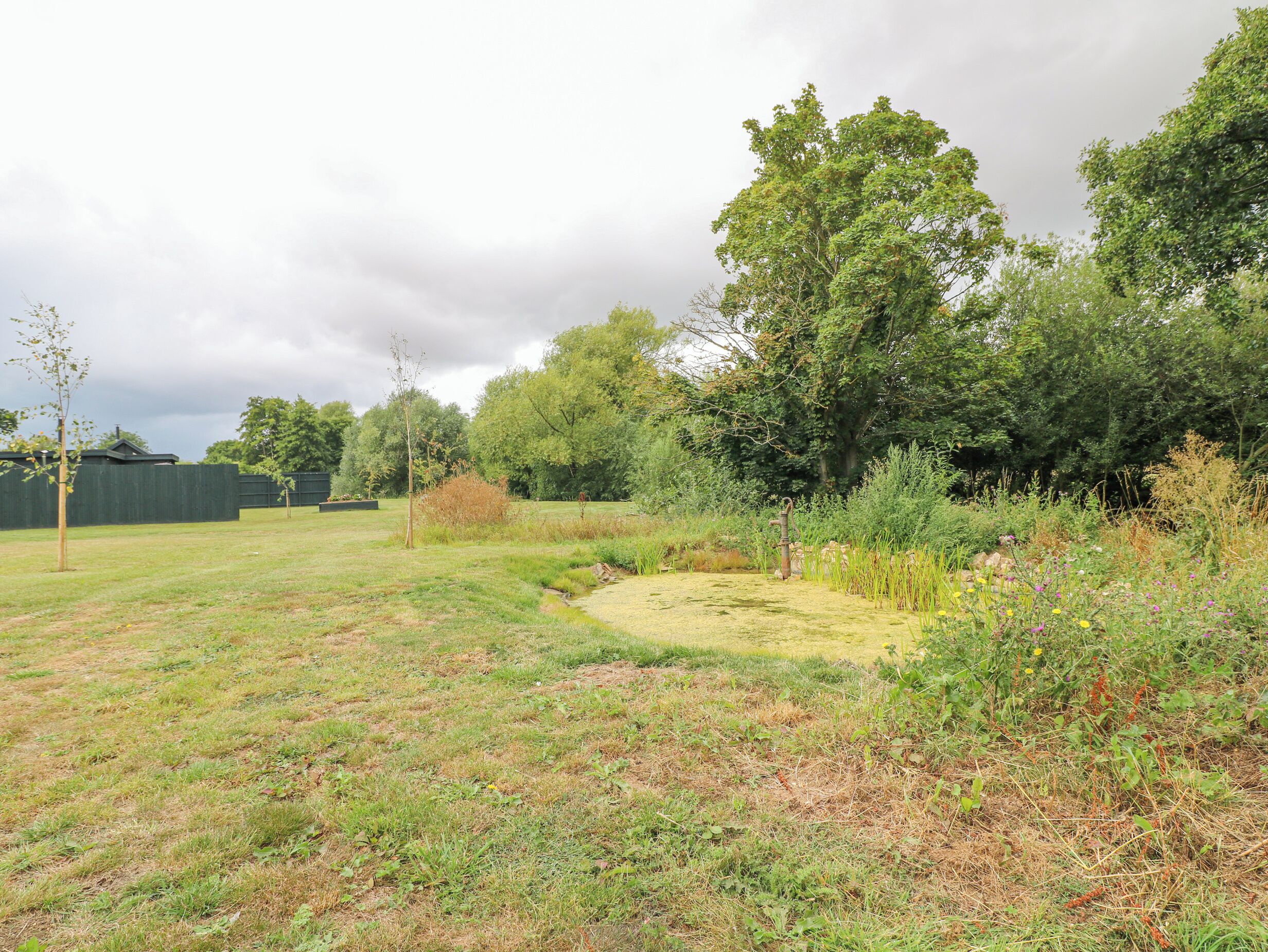 A grassy outdoor area with a small stream, trees, and a fence.