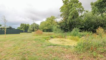 A grassy outdoor area with a small stream, trees, and a fence.