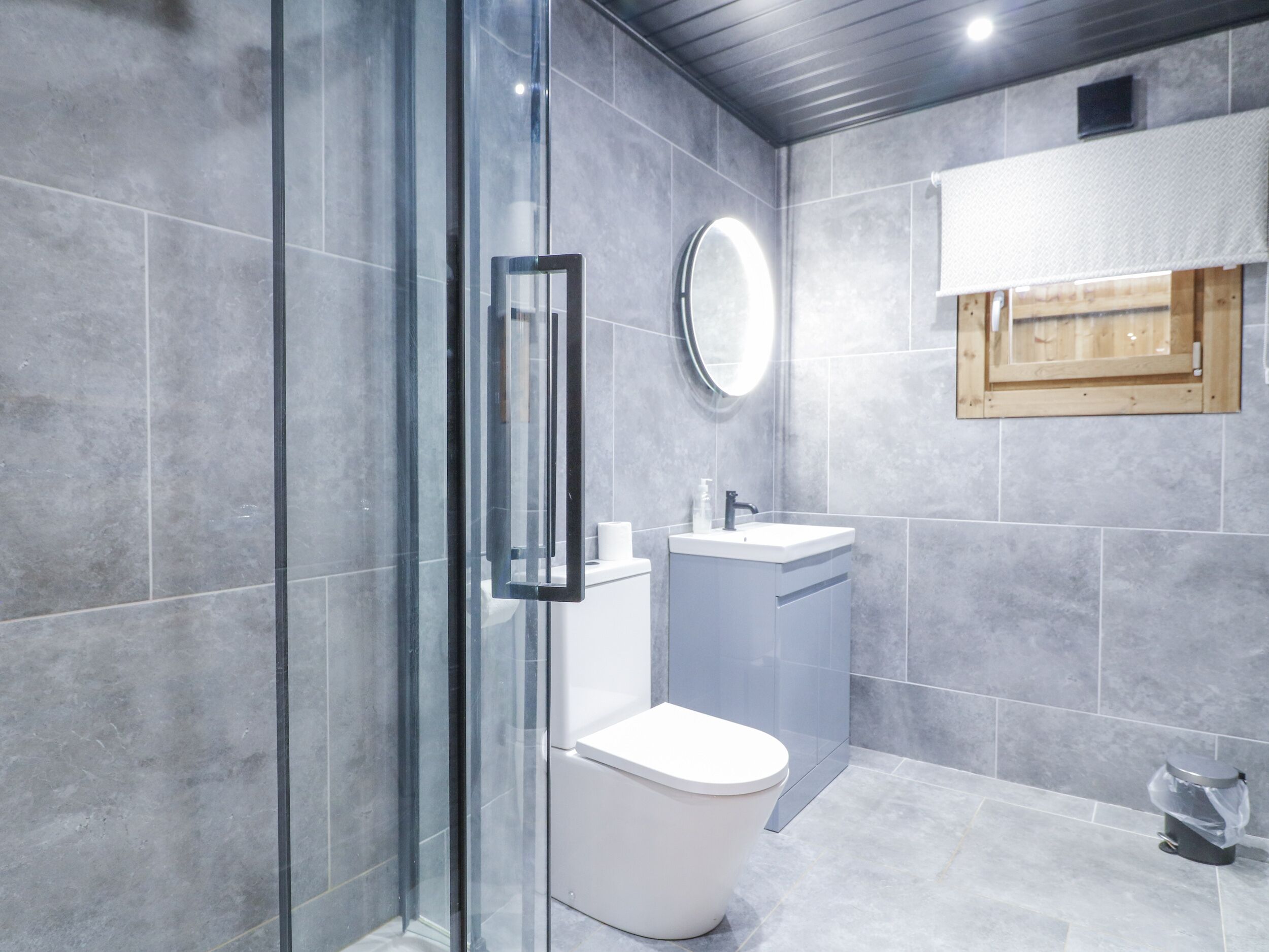A modern bathroom with a glass shower enclosure, a toilet, a sink, and a mirror.