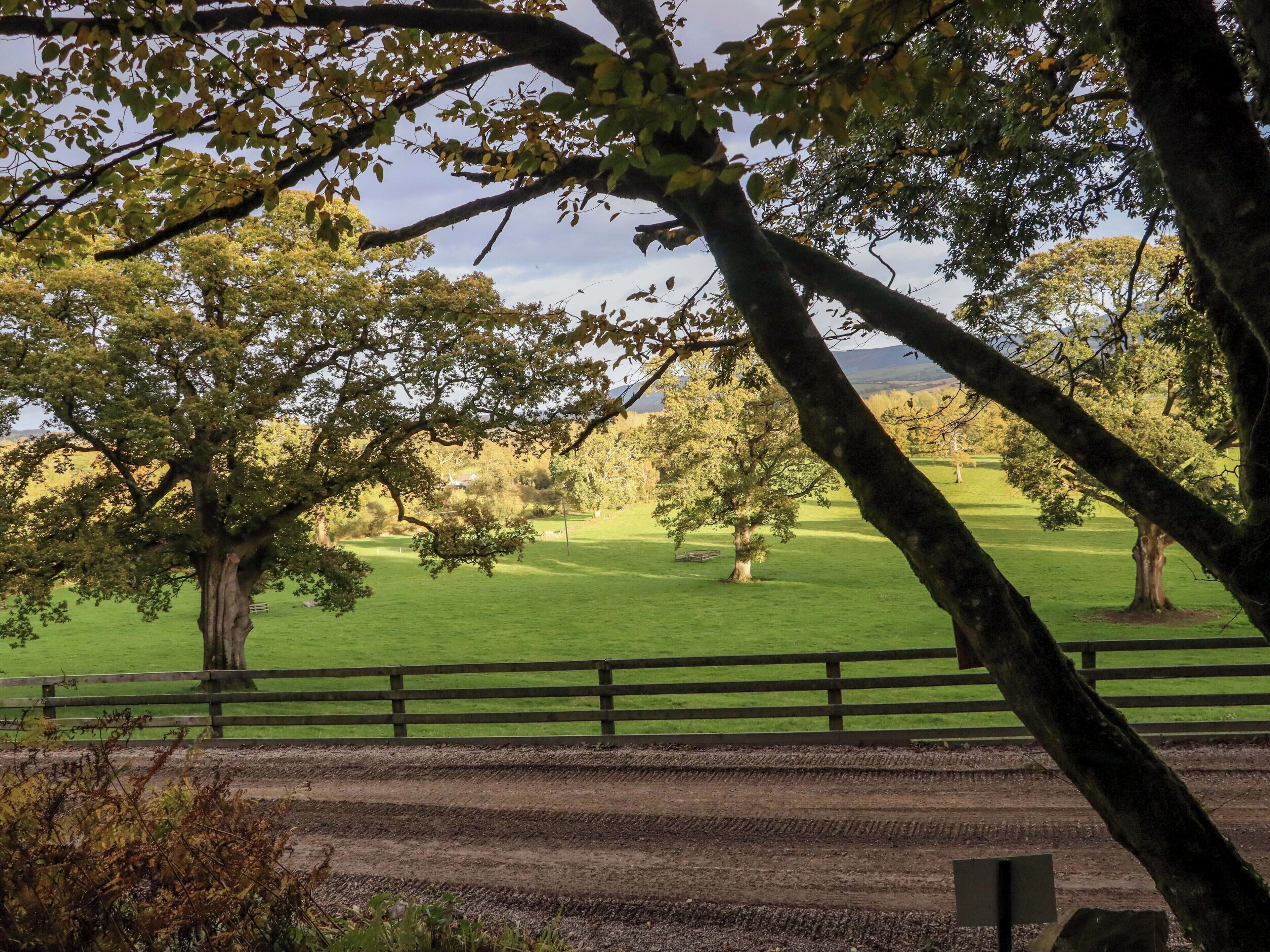 Un espace extérieur clos, agrémenté d’arbres et d’un terrain herbeux.