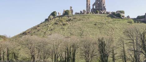 A hill with ruins at the top, surrounded by trees and open fields.