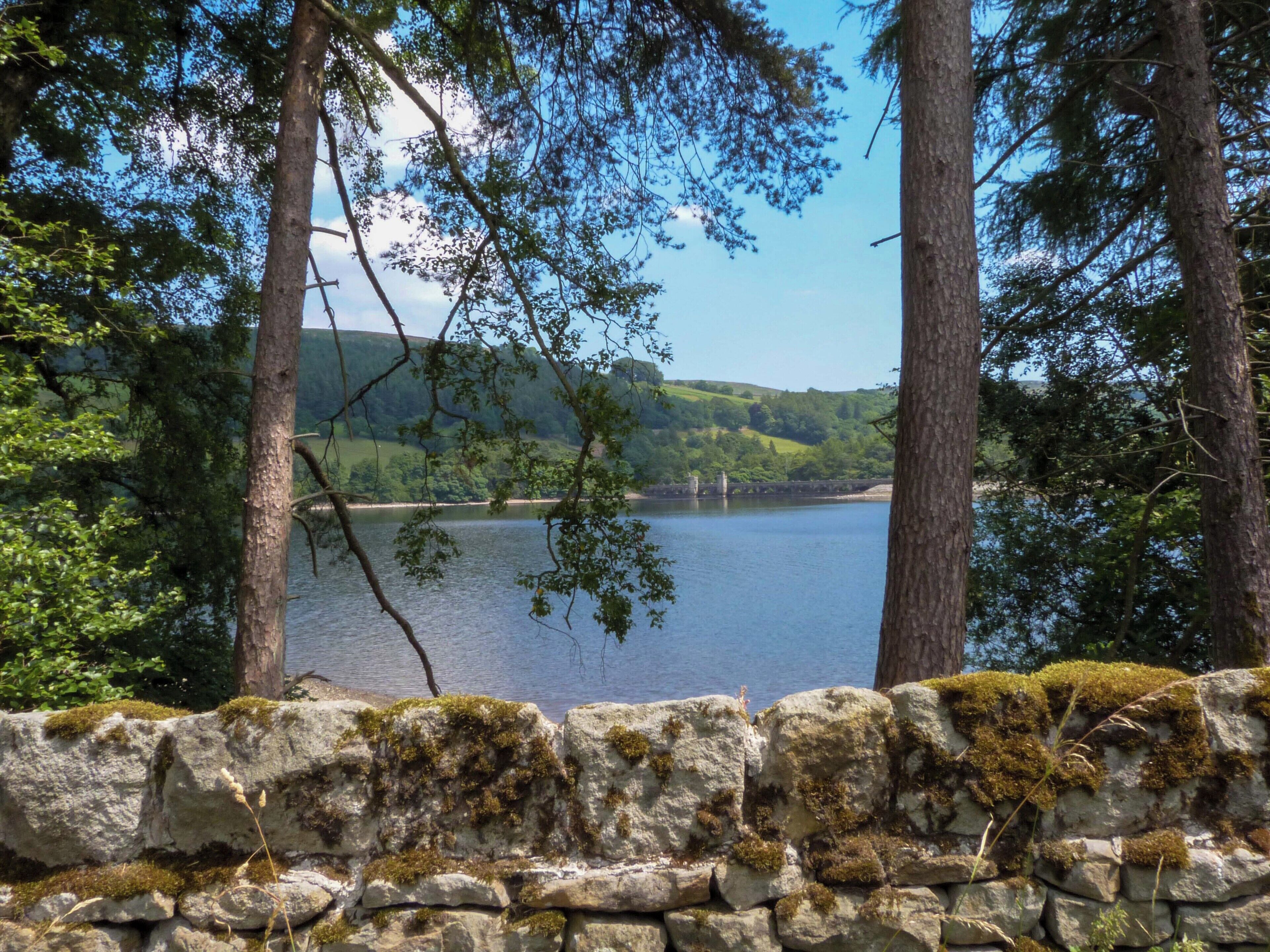 A stone wall with moss, a calm lake, and trees in the background.