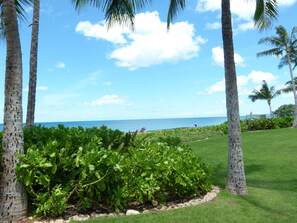 Property grounds - Beautiful condo in The Fairways at Mauna Lani resort with Beach Club access. (Kamuela)