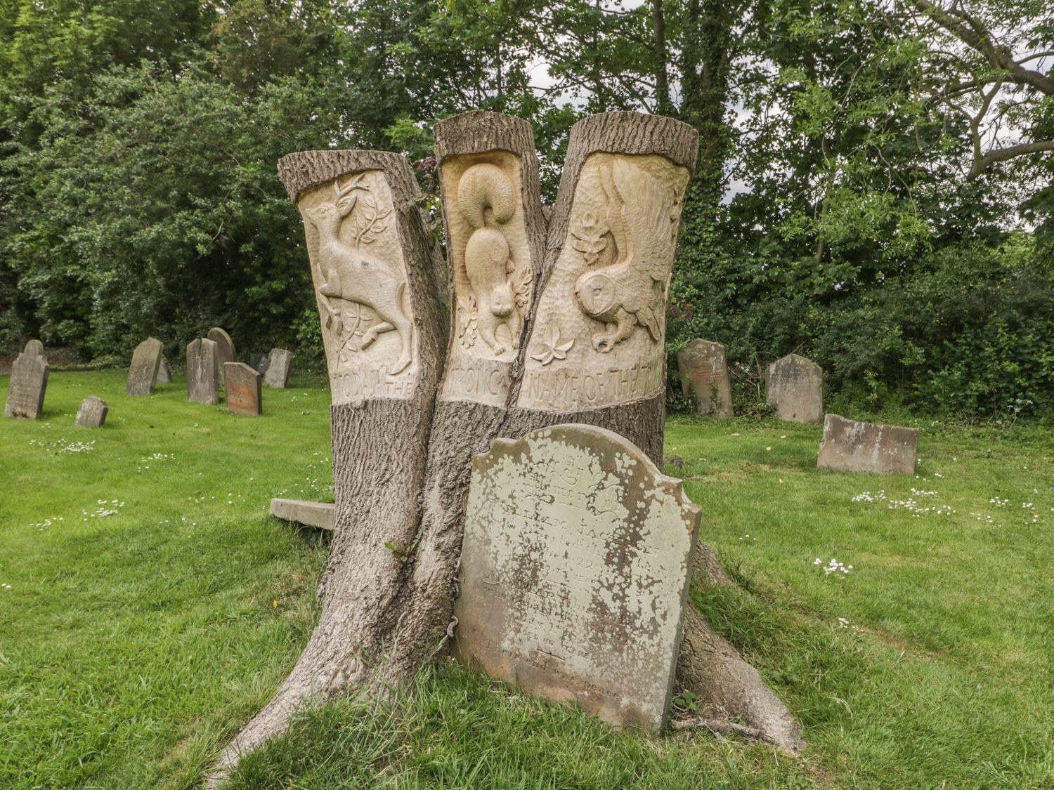 A cemetery with gravestones, including a prominent gravestone with a carved tree trunk and a weathered headstone.