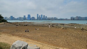 A beach with people and a city skyline in the background.