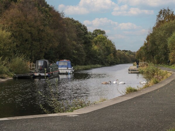 A narrow waterway with boats and swans. - Holly (Denny)