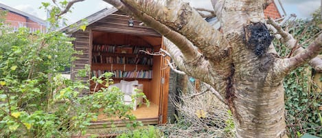 A wooden structure with a bookshelf filled with books, surrounded by greenery and a tree.