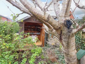 Property grounds - Garden Retreat (Swanage)