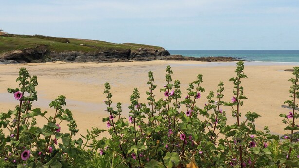 Une plage bordée d’une falaise rocheuse, sous un ciel dégagé.