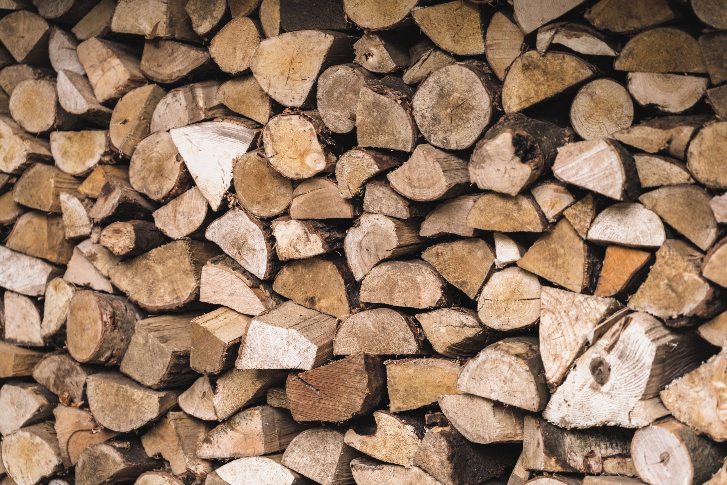 A close-up of stacked firewood logs.