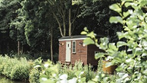 Una pequeña cabaña de madera junto a un lago, rodeada de árboles frondosos.