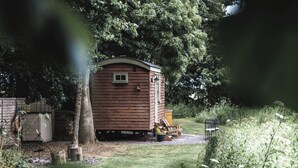 Una pequeña cabaña de madera con un porche, rodeada de exuberante vegetación.