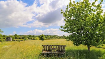 Cottage | Property grounds